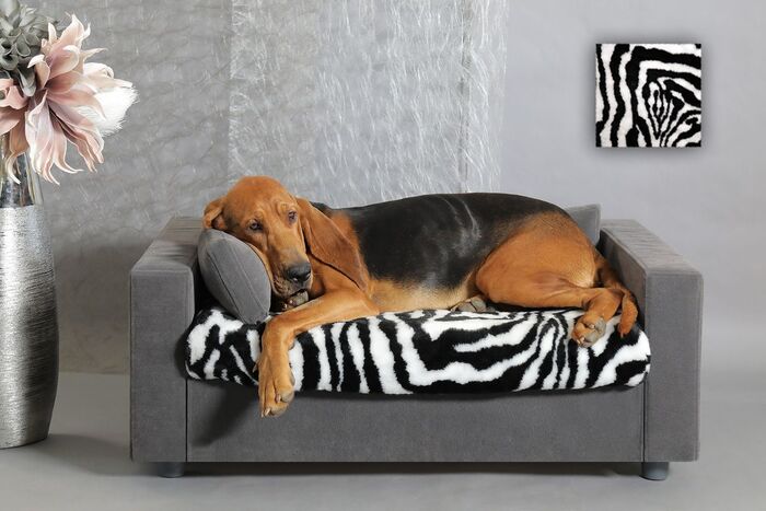 canape chien choisir modele miniature