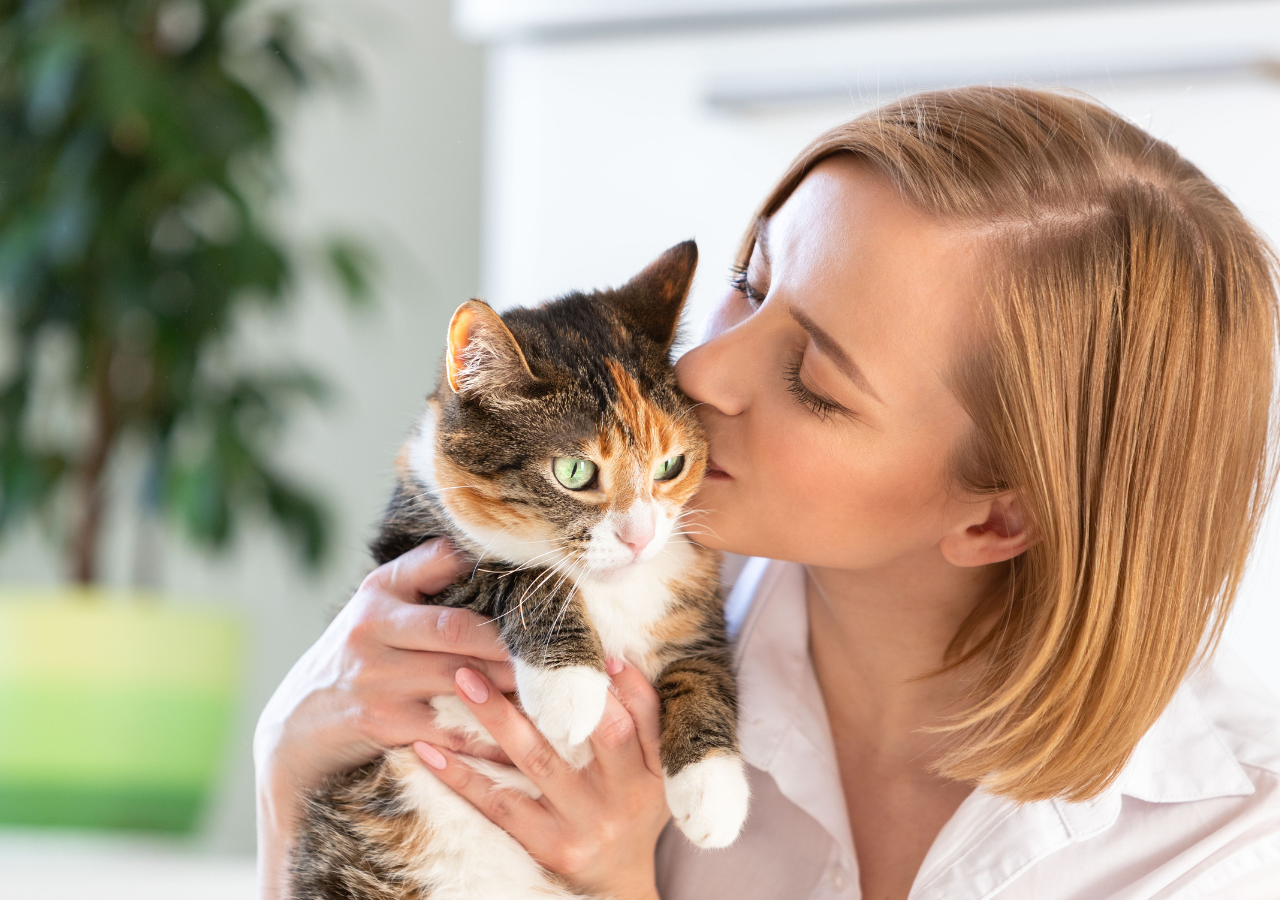 Ne Pas Embrasser Son Chat