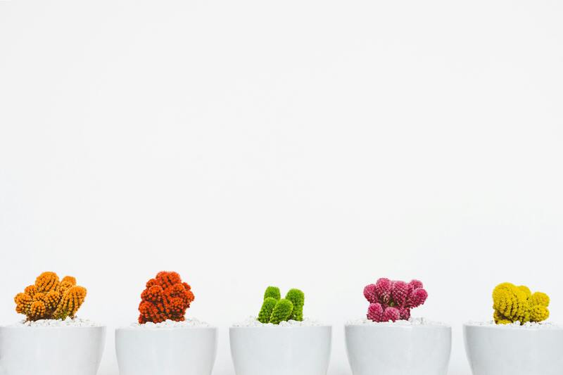 bonsai artificiel