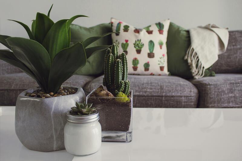 cactus artificiels